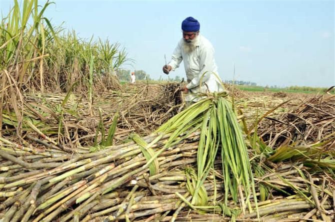 CM instructs sugar mills 