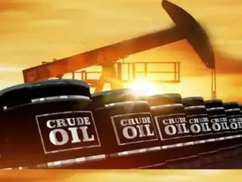 Govt allows crude oil 