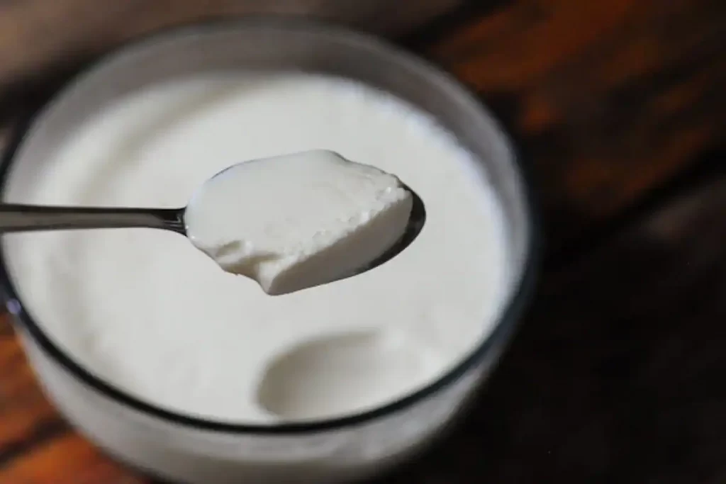 Fungal infection curd remedies
