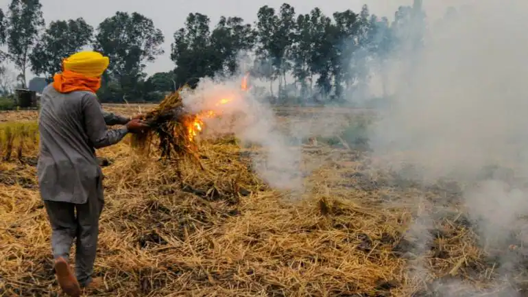 parali pollution in punjab