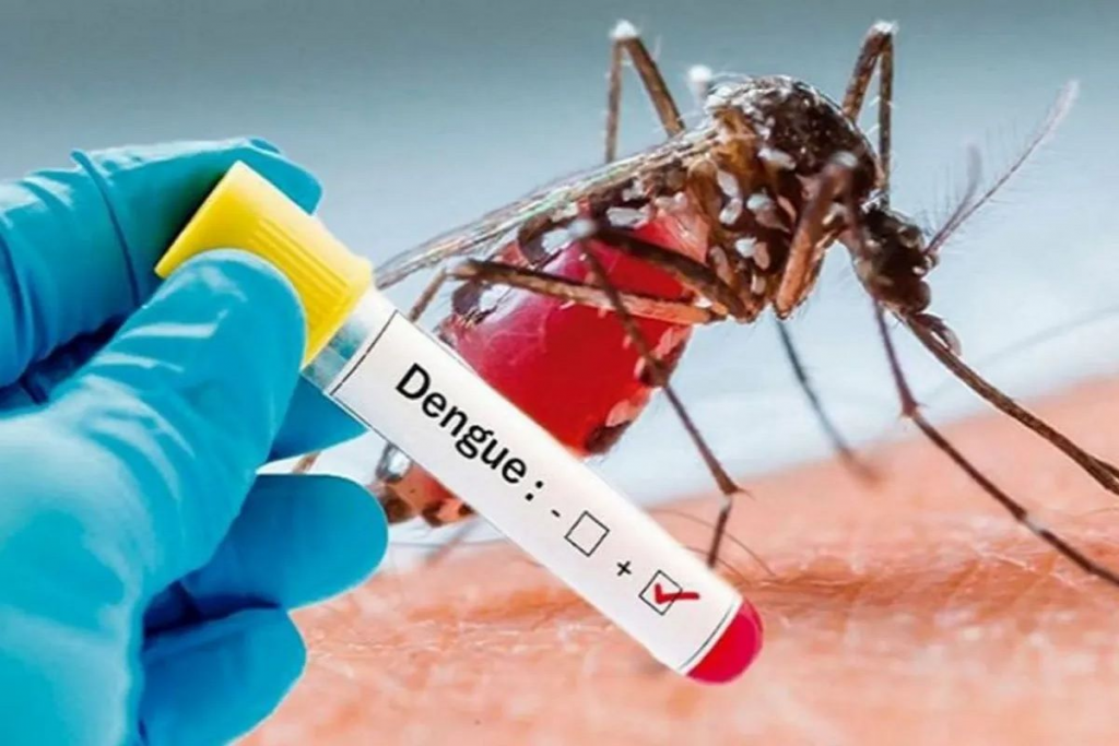 Dengue outbreak in Delhi