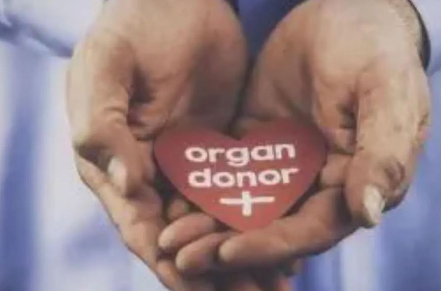 Youngest organ donor