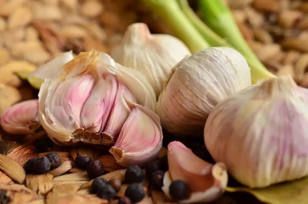 raw garlic health benefits