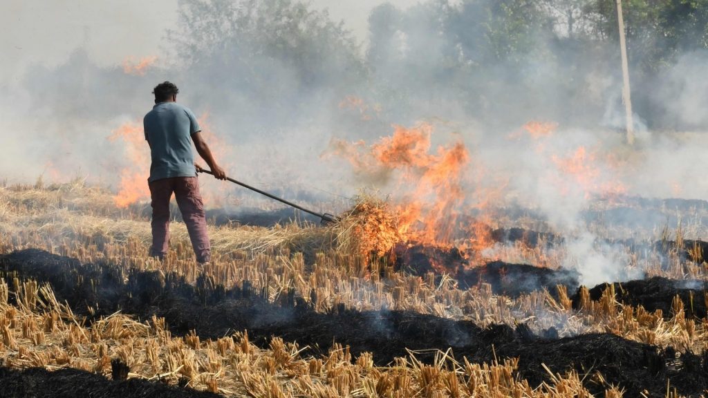 Punjab govt on stubble burning
