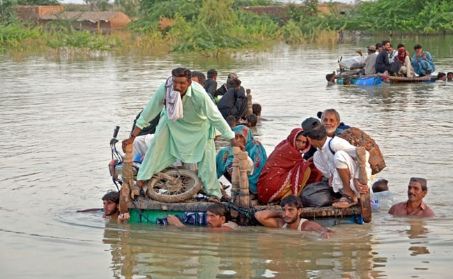 1200 deaths in Pakistan 