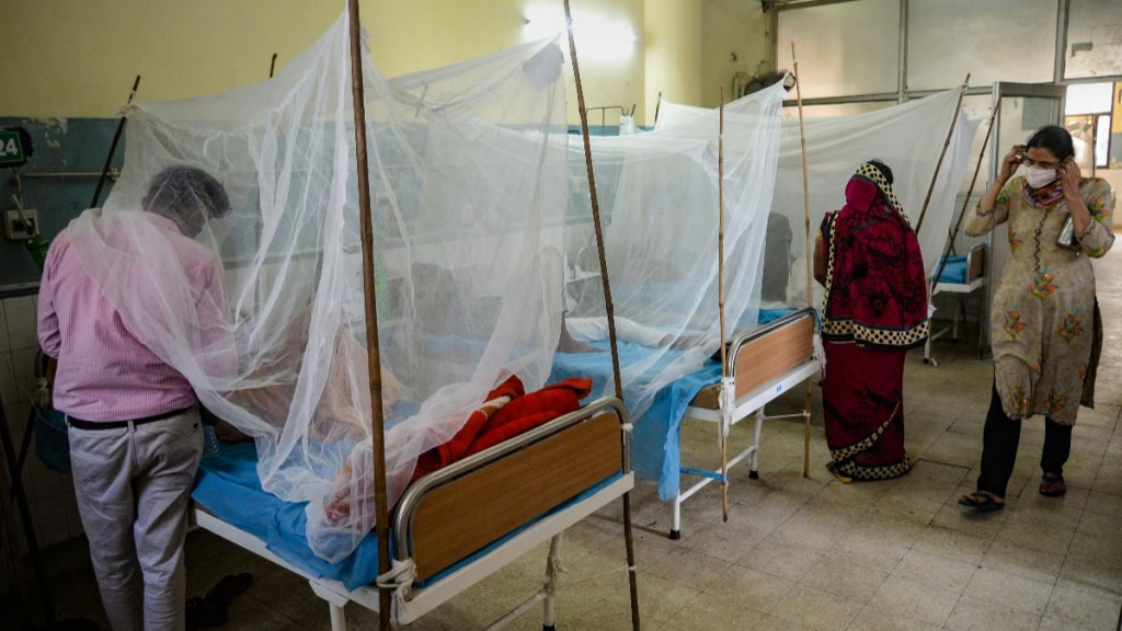 Dengue Cases in Ludhiana