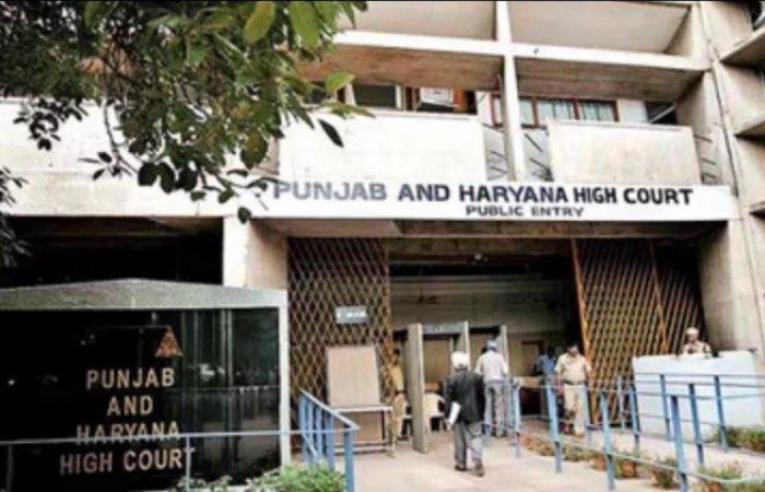 Punjab Haryana and High Court Again Banned