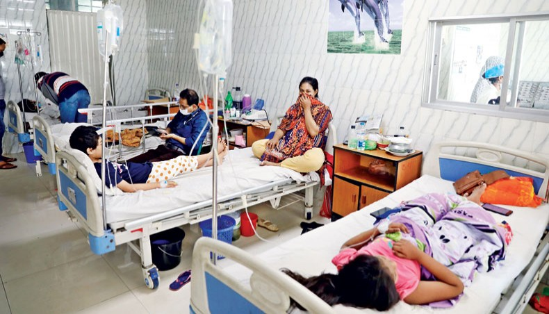 Dengue Cases in Ludhiana