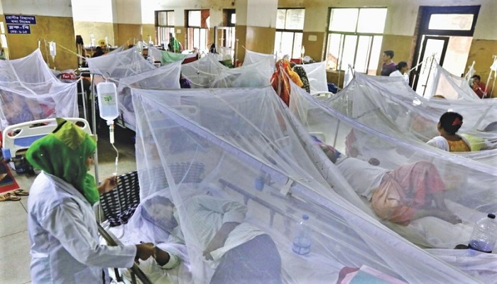 Dengue Cases in Ludhiana 