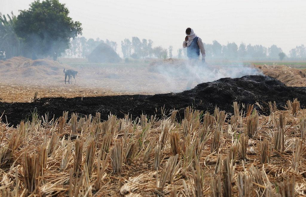 Stubble Burning case punjab 