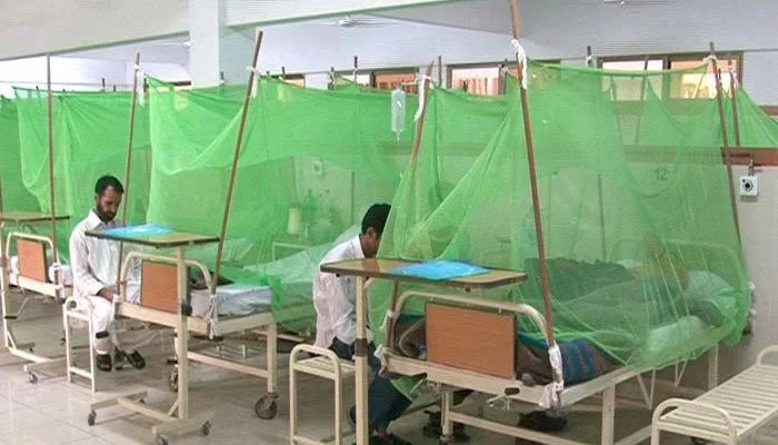 Dengue Cases Punjab increases