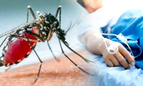Cut Challan Against Dengue
