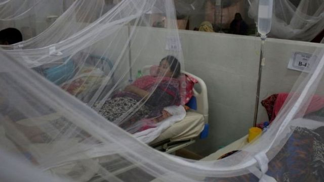dengue cases increased haryana