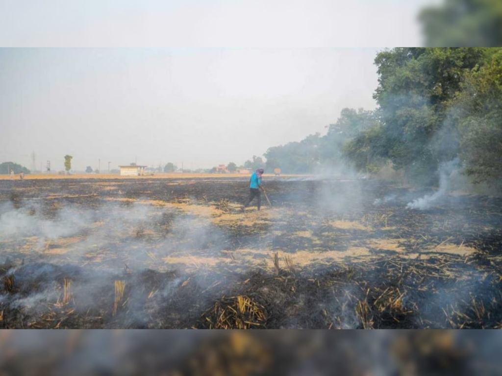 Stubble Burning cases jalandhar