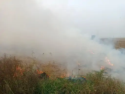 stubble Burning Karnal Cases