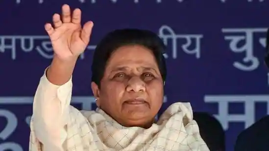 Mayawati Entry Himachal Election