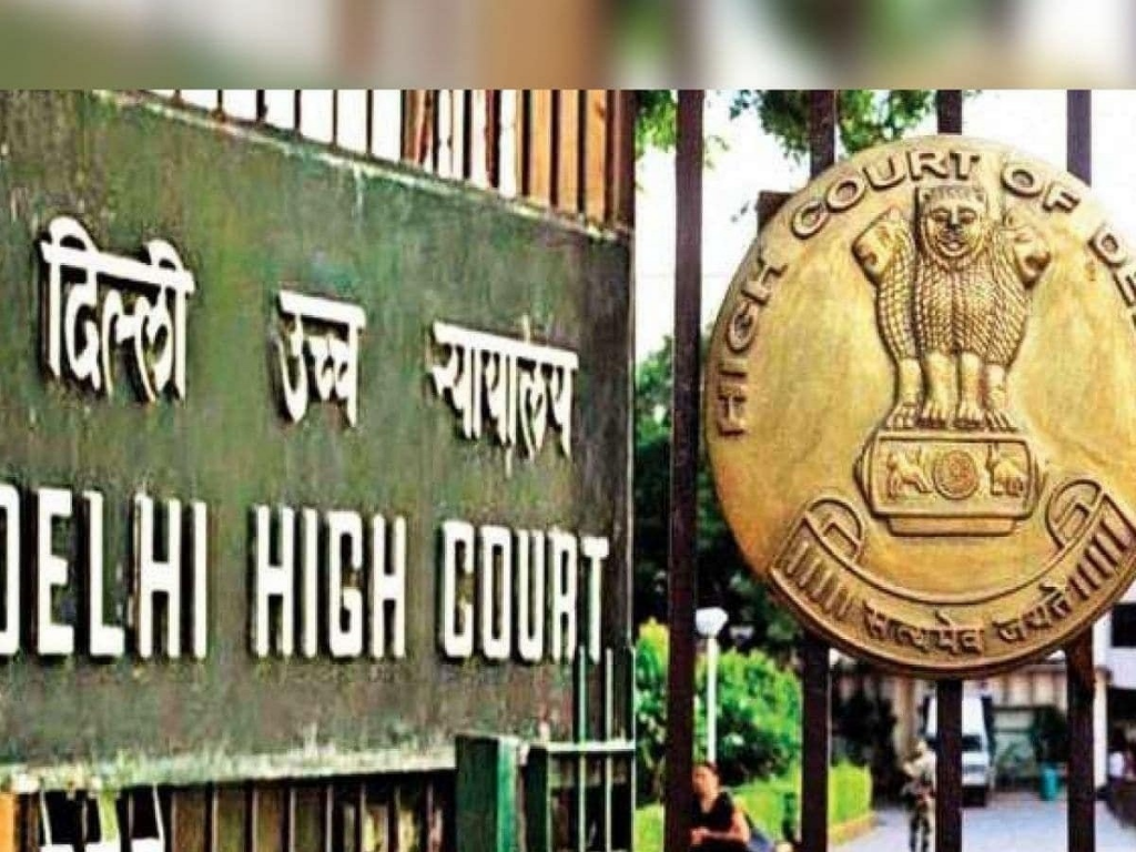 High Court allowed the 