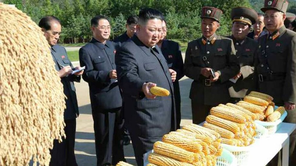 Starvation on North Korea