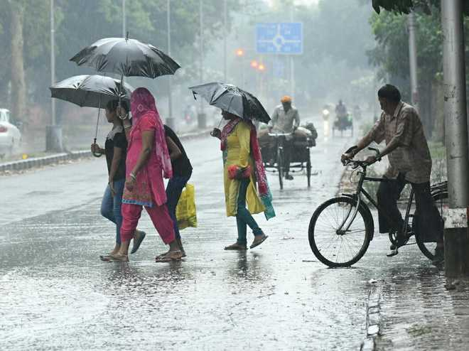 Rain continues in Punjab