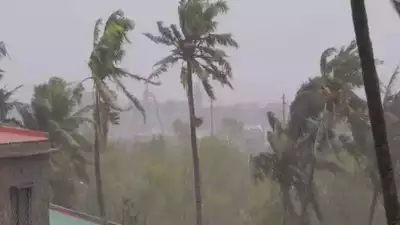 Haryana Biparjoy Cyclone Alert