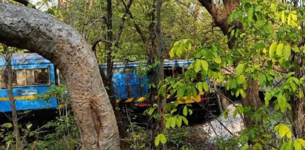 Another train derails in Odisha