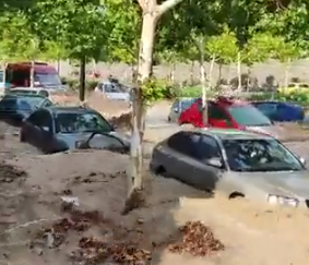 Rain-flood disaster cars 