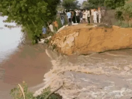 Ghaggar river breached 80 