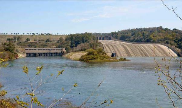 Pong dam water