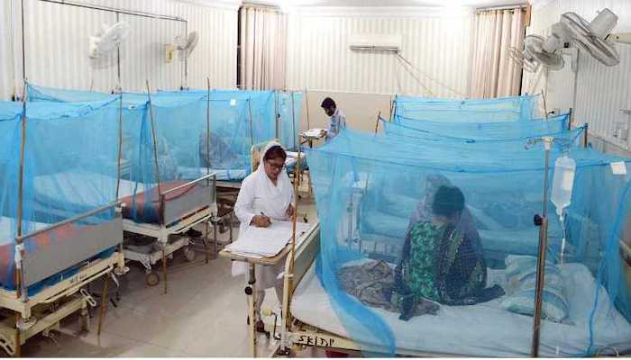 Haryana Dengue Fever Cases