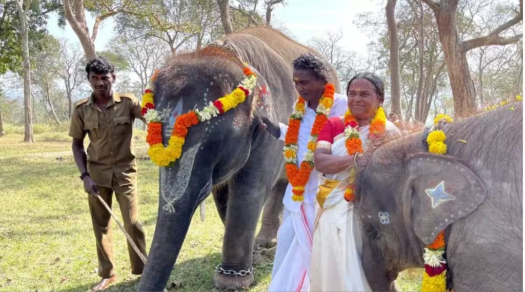 Elephant Whisperers actors allege makers